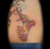 hummingbird pic tattoos